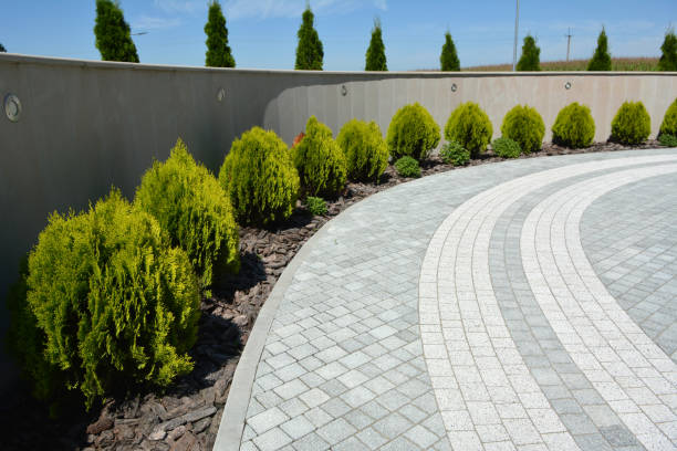 Best Local Driveway Pavers  in Hamtramck, MI